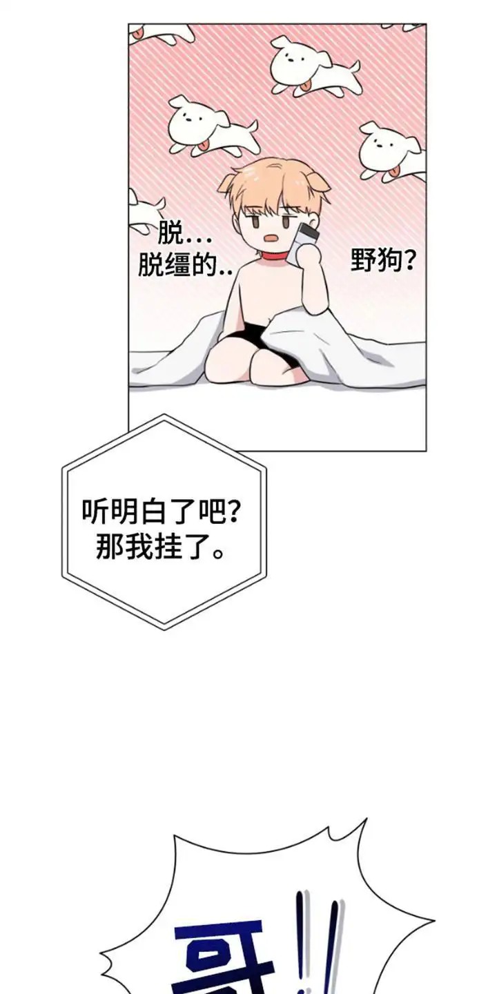 三重恋爱 - 制裁 - 第21页
