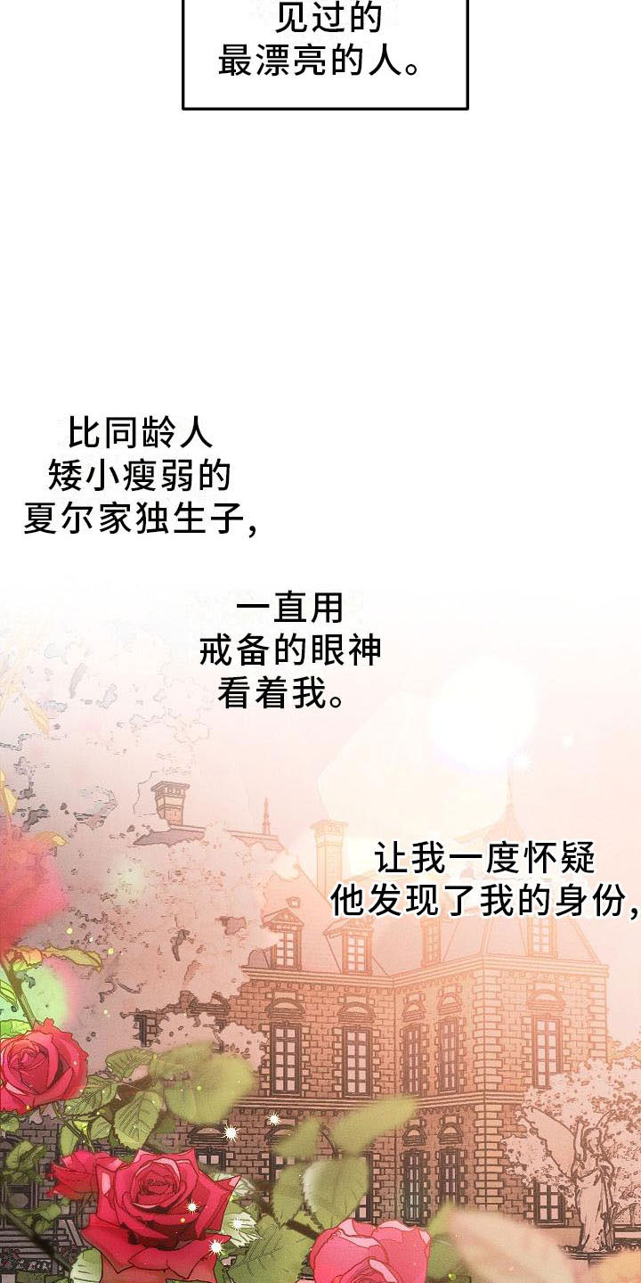 爱的合集 - 薰衣草花园-盗窃 - 第11页