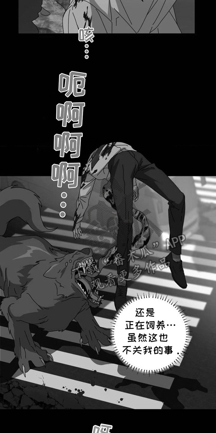 深渊来客 - 变异种 - 第19页