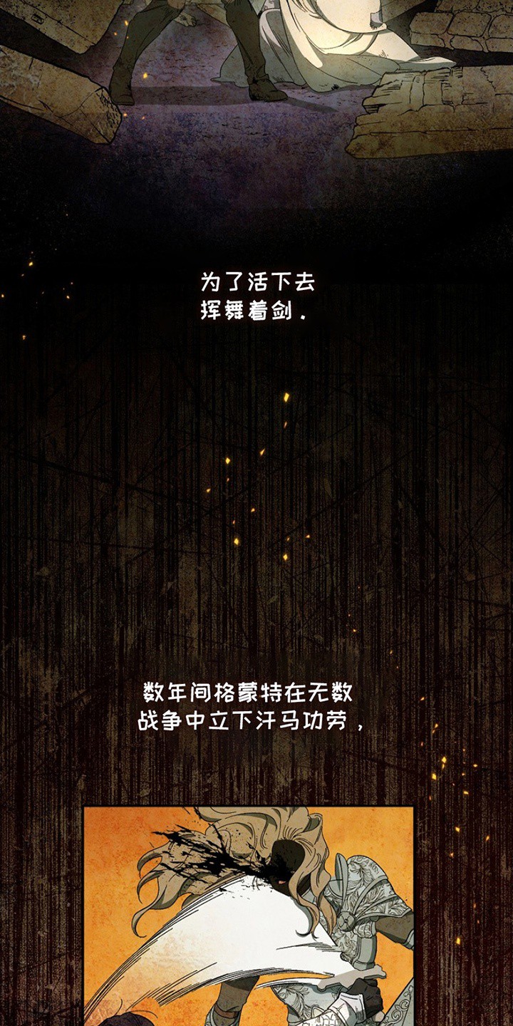爱上骑士团团长 - 看不惯 - 第17页