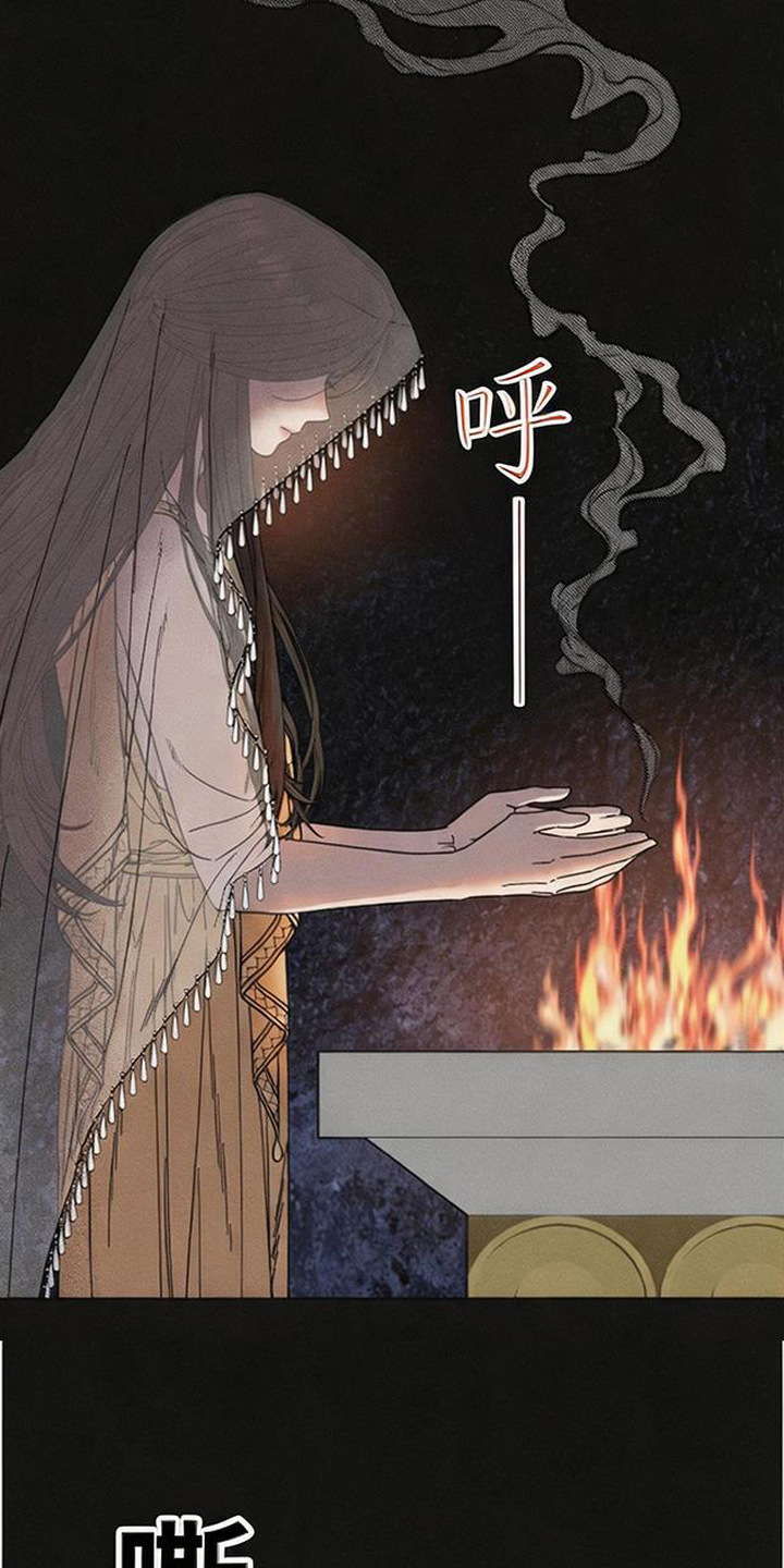 倾城伪妆 - 伪王 - 第12页