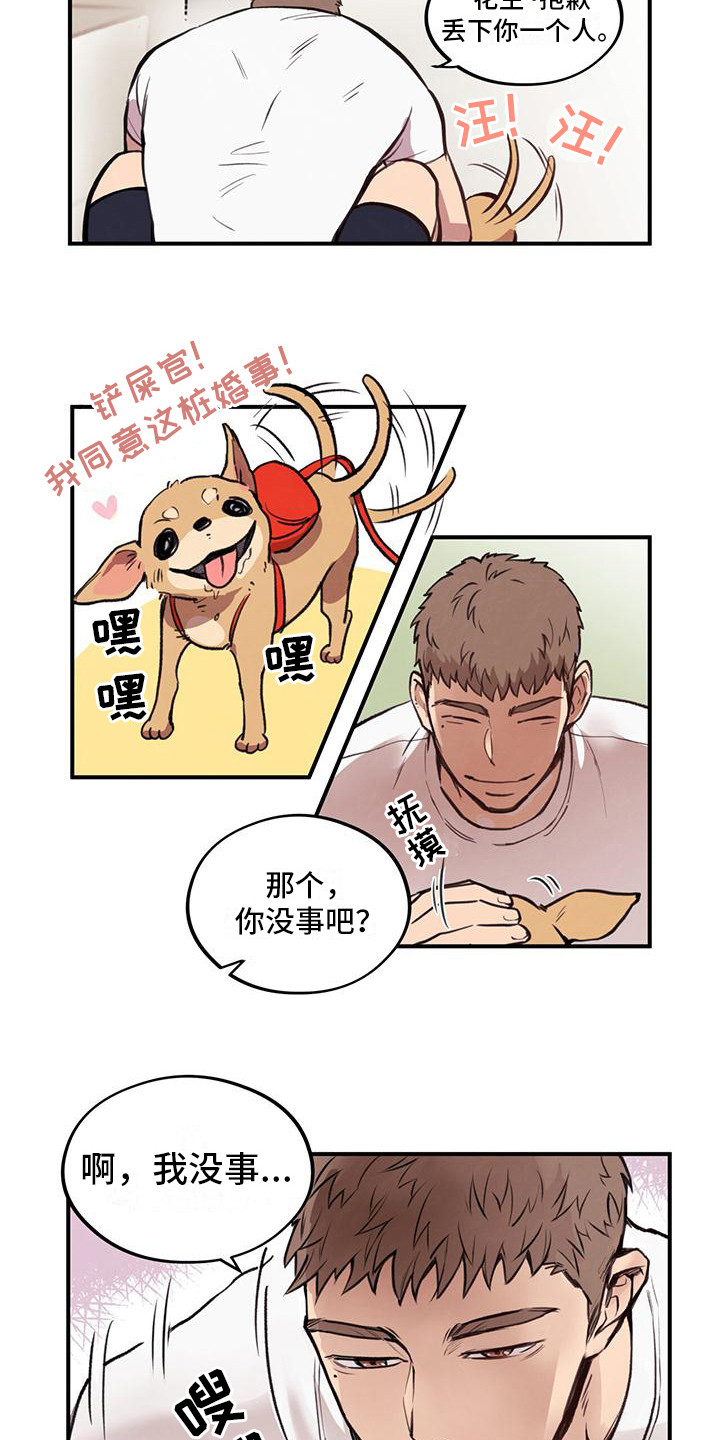 哈尼熊 - 出手相助 - 第13页