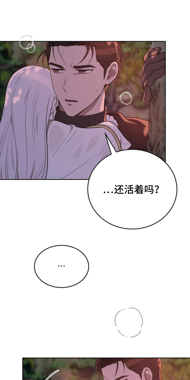 伪信之痕 - 逃亡 - 第19页