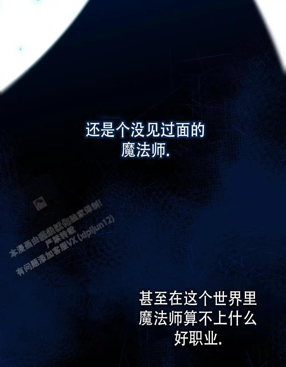 转世魔法师 - 见家臣 - 第25页