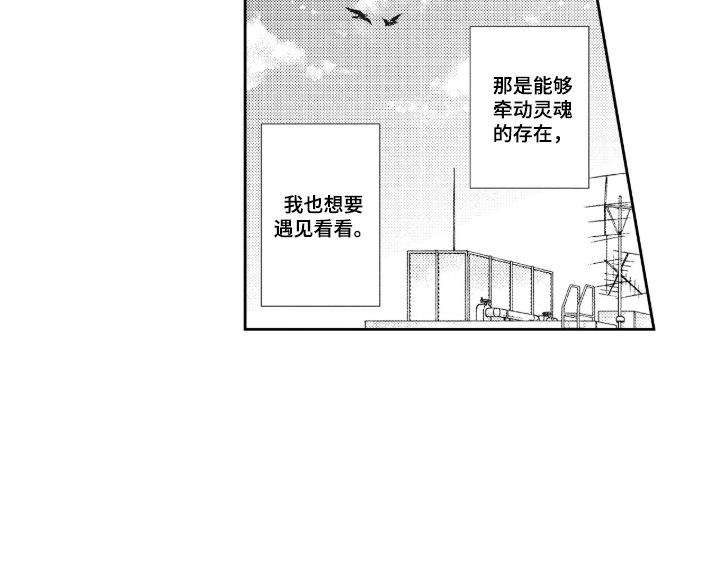 向命运宣战 - 假装单纯 - 第17页