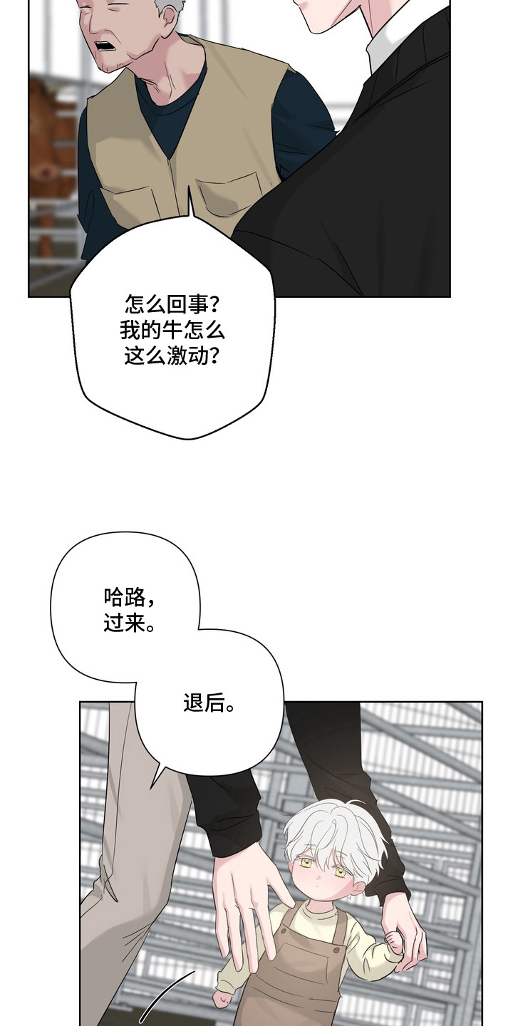 白狐日记 - 牲口棚 - 第20页