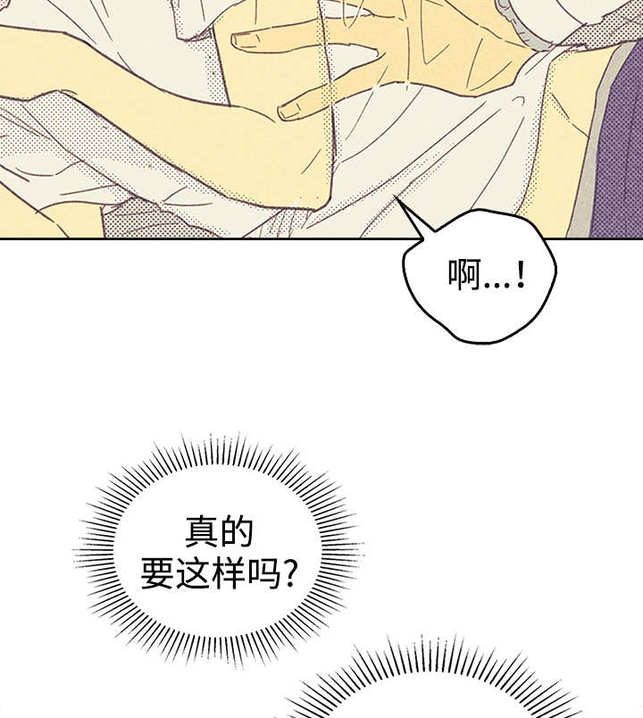 开或关 - 青春太肤浅 - 第26页
