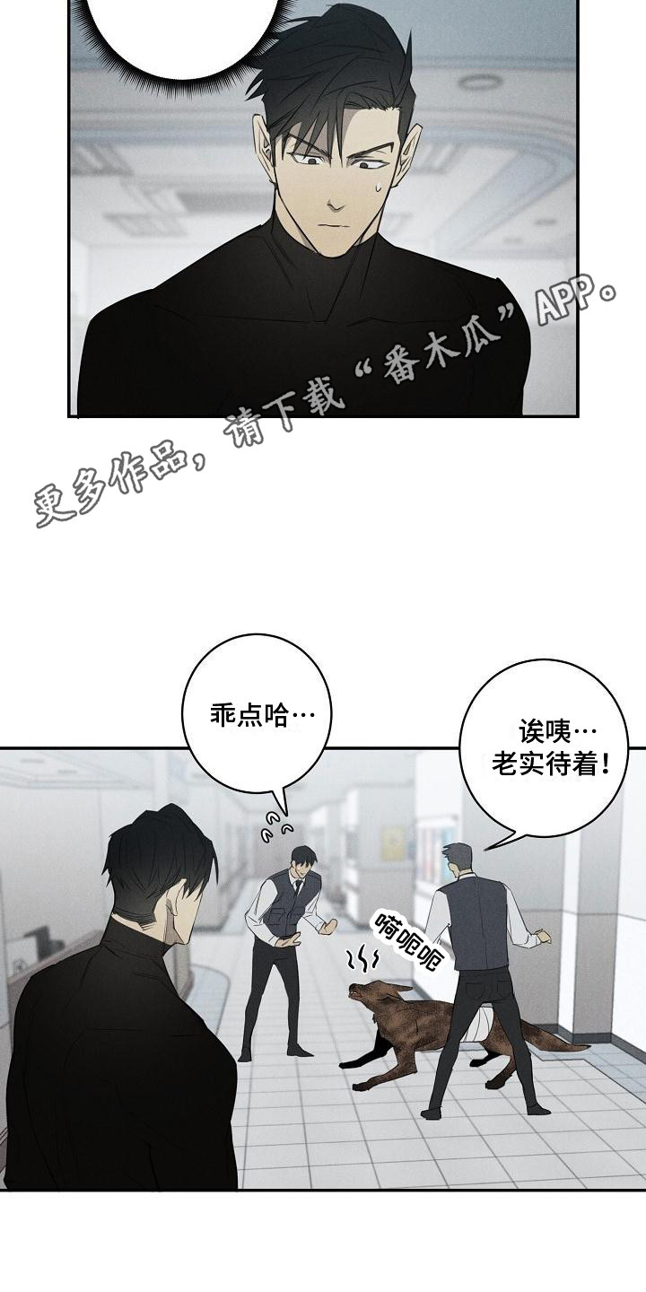 迷失方向 - 不见了 - 第11页