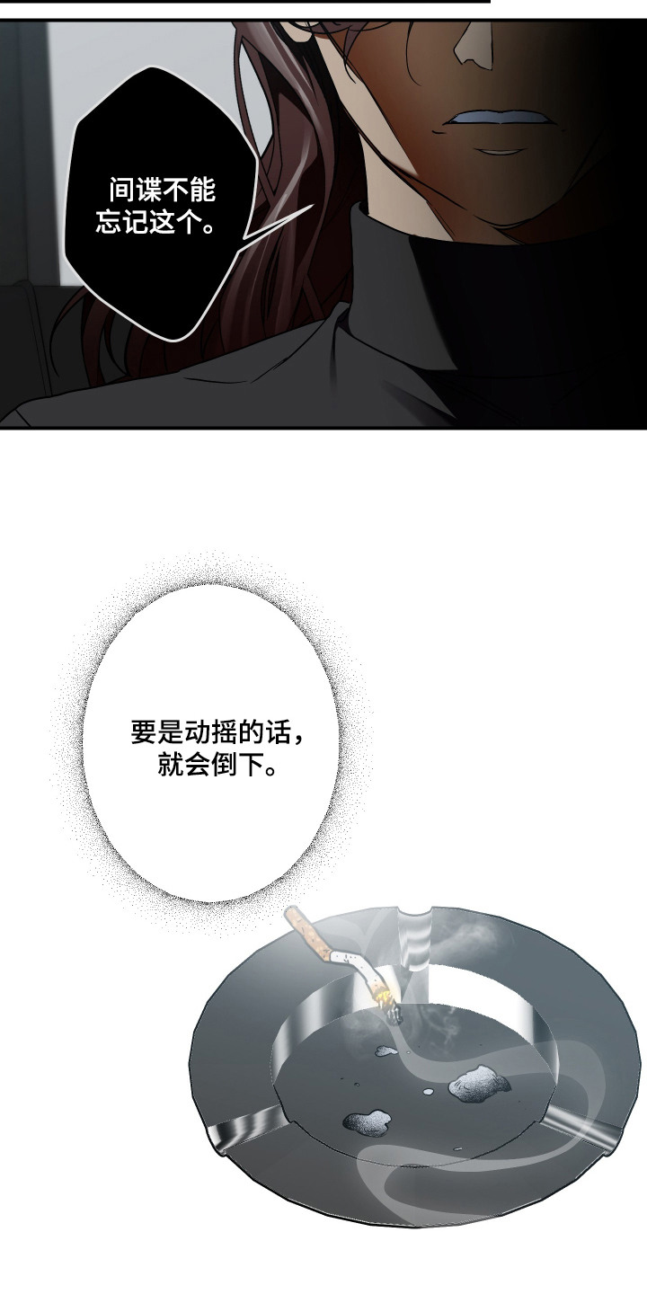倒悬玫瑰 - 关键线索 - 第19页