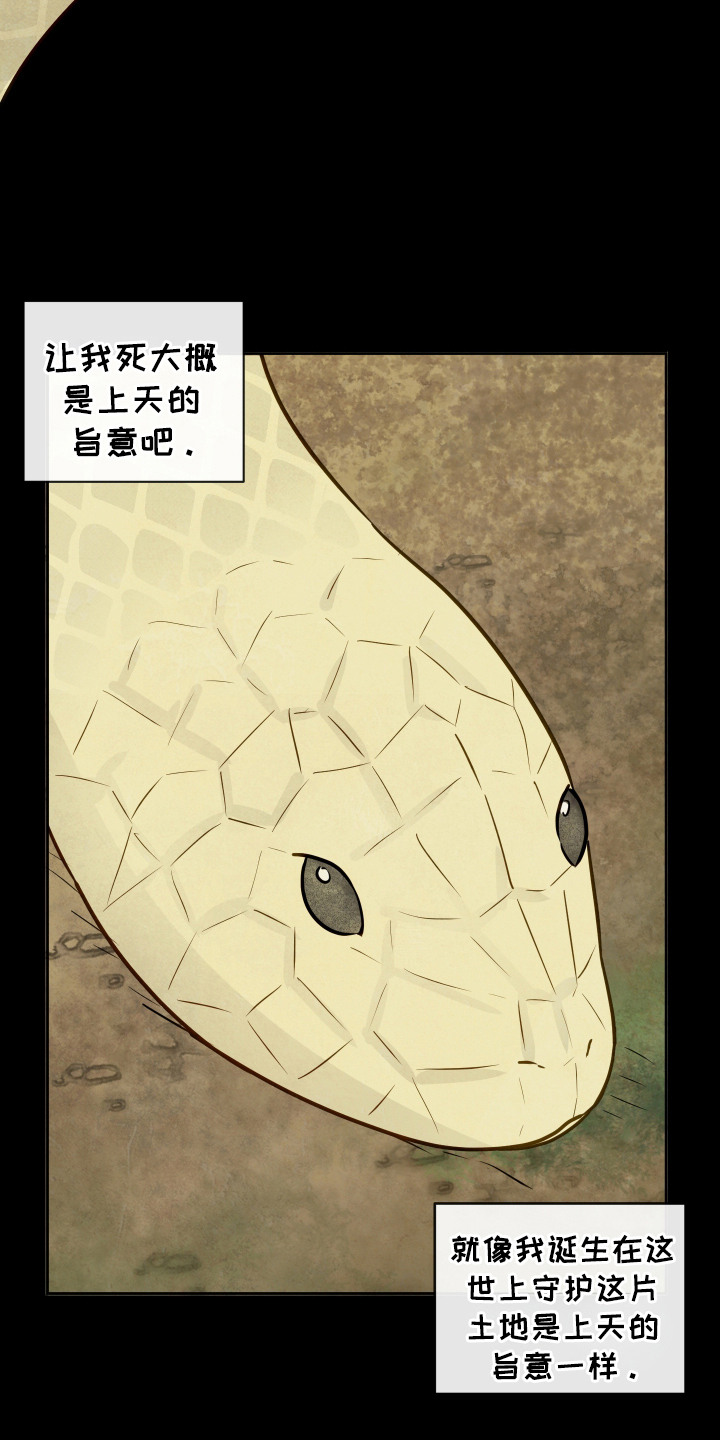 拥神说 - 天意 - 第20页