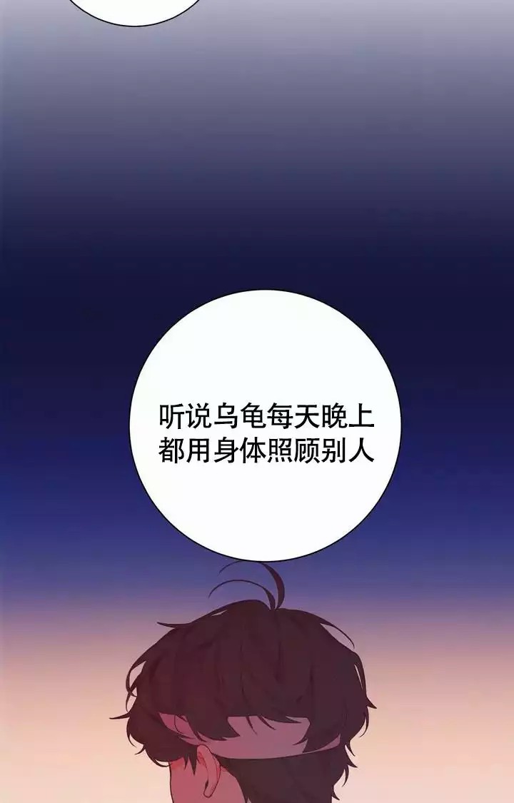 童话之兔子少爷 -   - 第11页