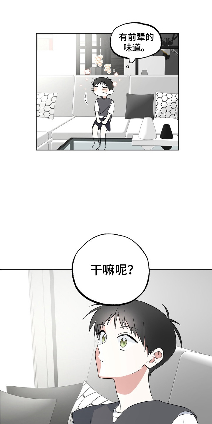 我的老鼠学长 - 我也喜欢 - 第13页