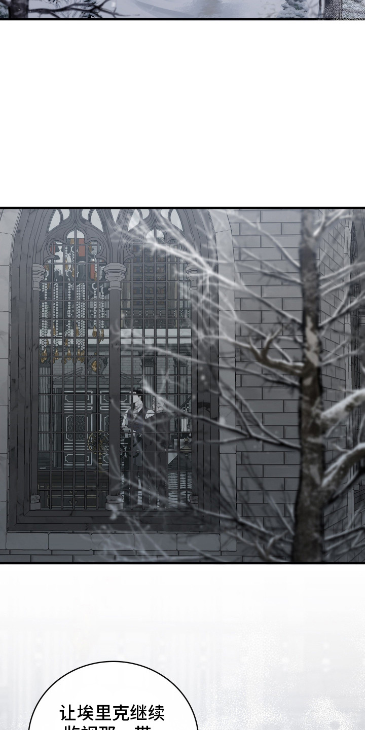 白夜的花路 - 白雪皑皑 - 第20页