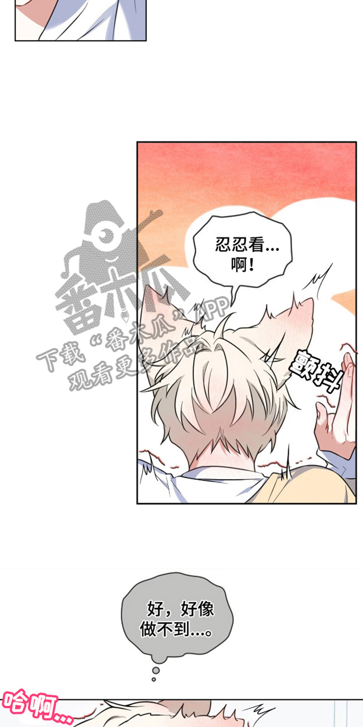狐狸特饮 - 视线 - 第9页