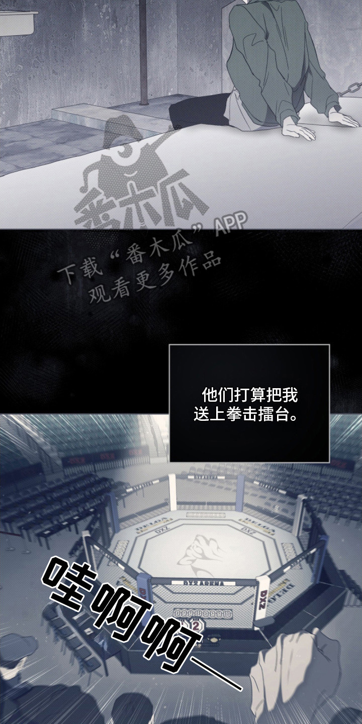 物种进化 - 指点 - 第15页