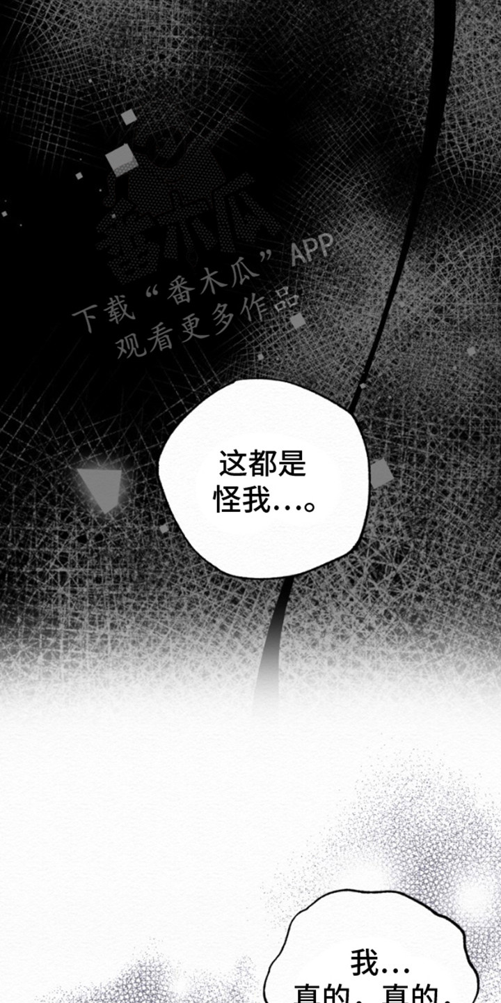 沉香记忆 - 说明情况 - 第16页