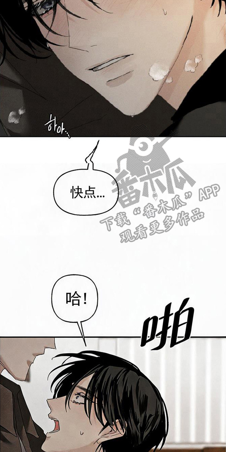 坠落的特技 - 清醒 - 第19页