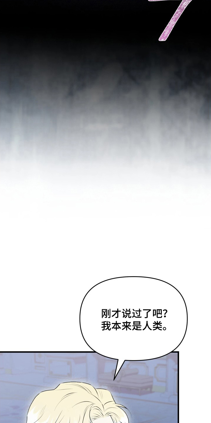 博物馆奇妙夜 - 活力 - 第8页