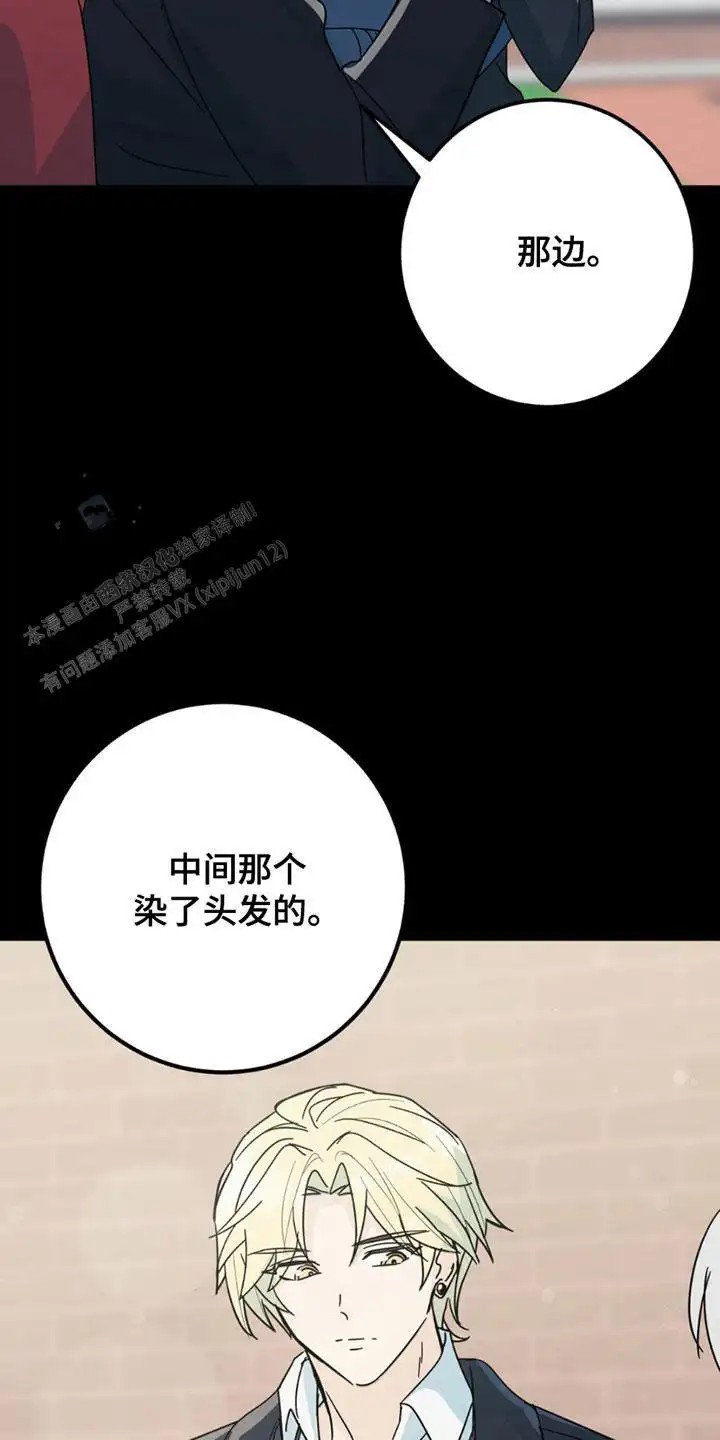 互补人生 - 照片 - 第25页