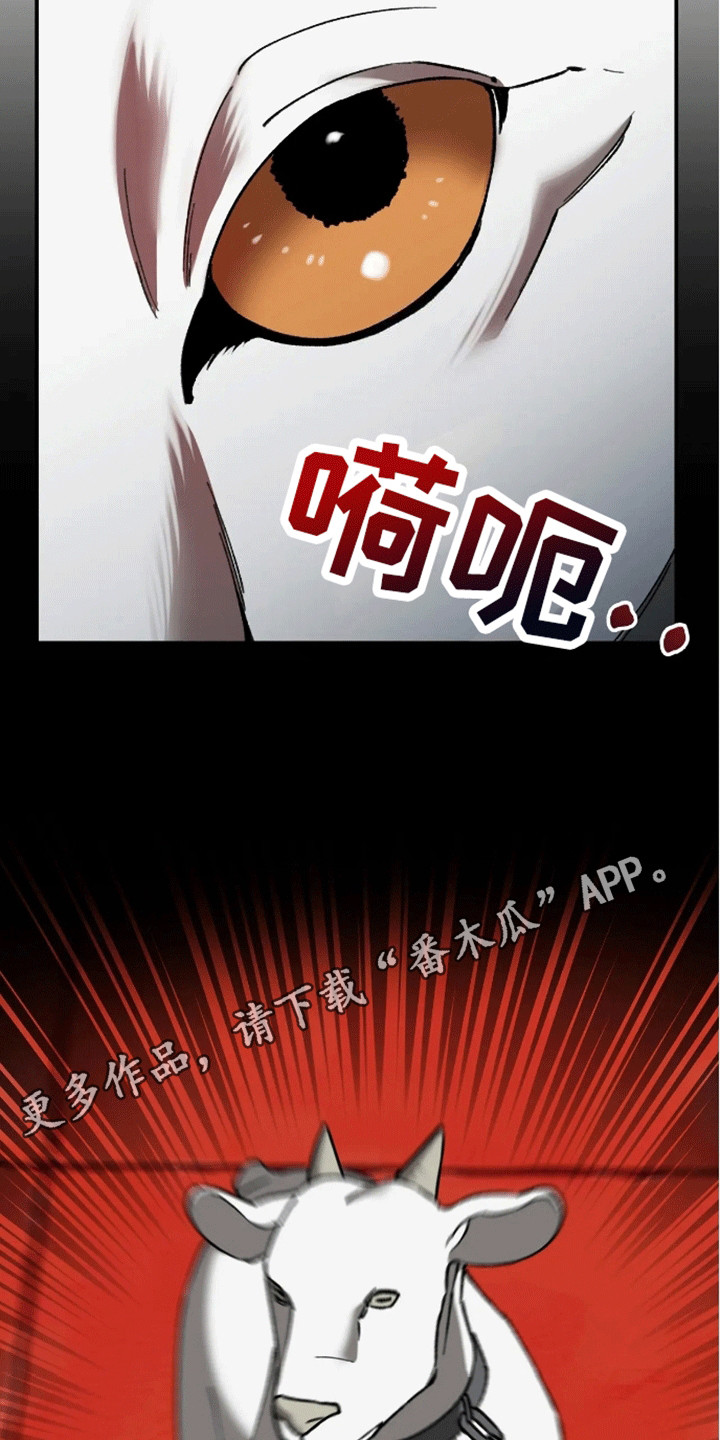 笼中白狼 - 狼孩 - 第23页