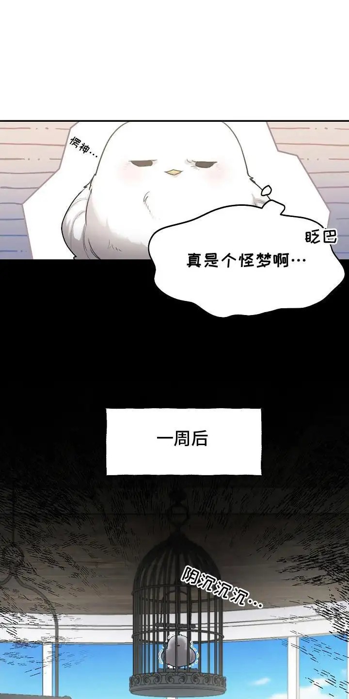 白鸟奇遇记 - 捕获 - 第15页