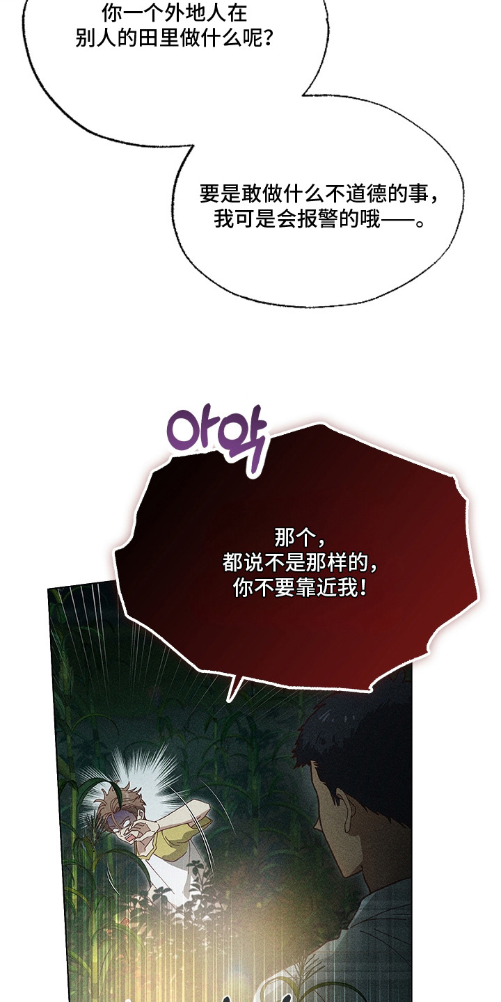 都市美男下乡记 - 丢脸 - 第11页
