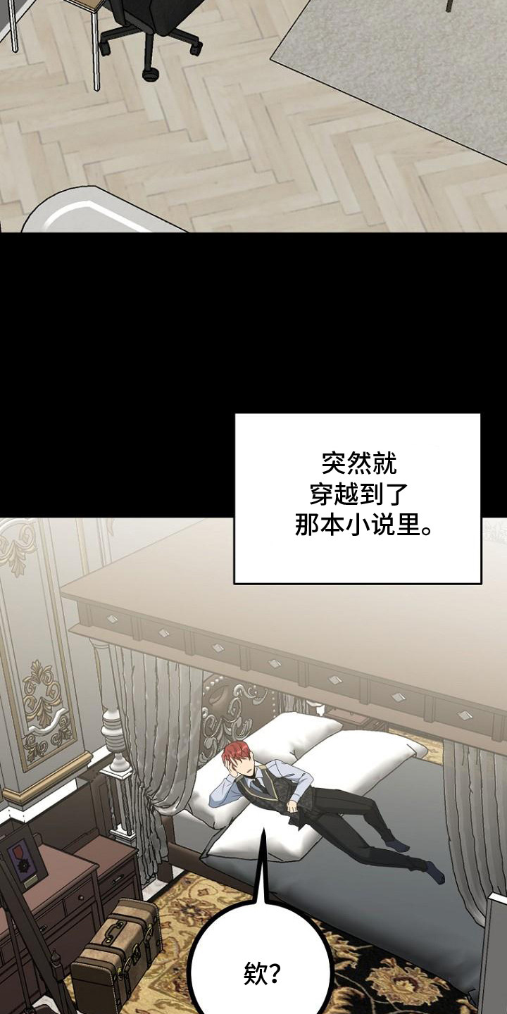 隐退大作战 - 反派中年男 - 第13页