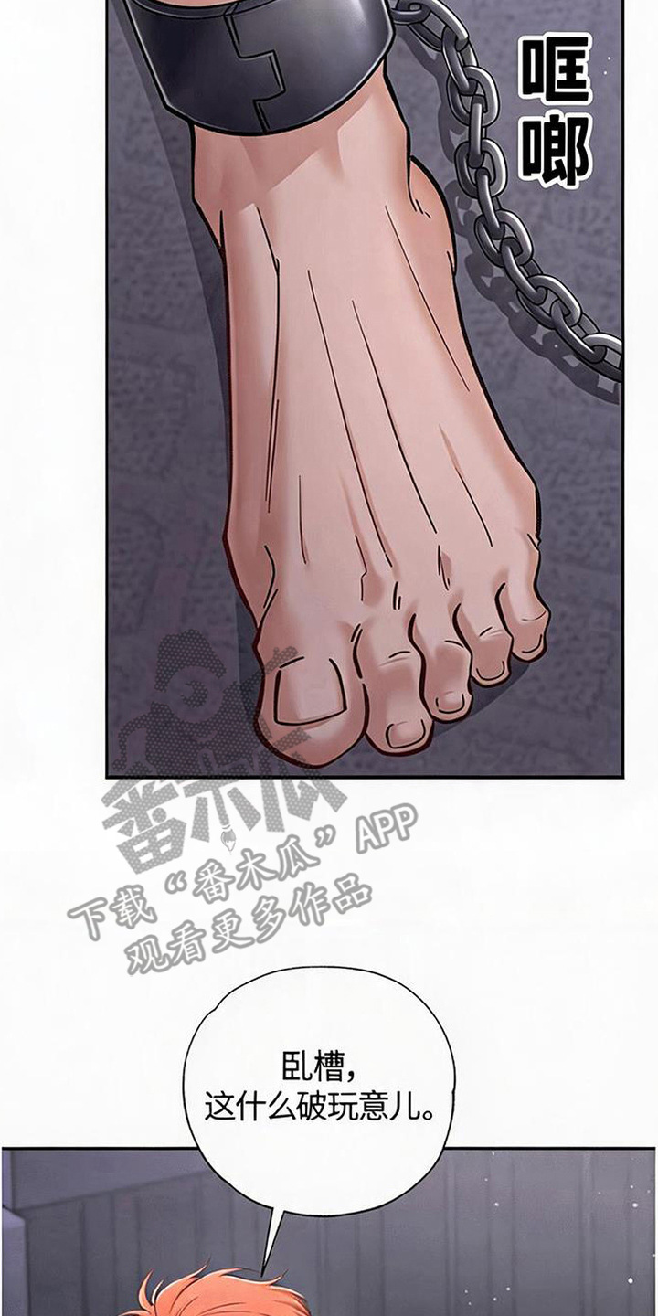 星光狼影 - 绑架 - 第23页