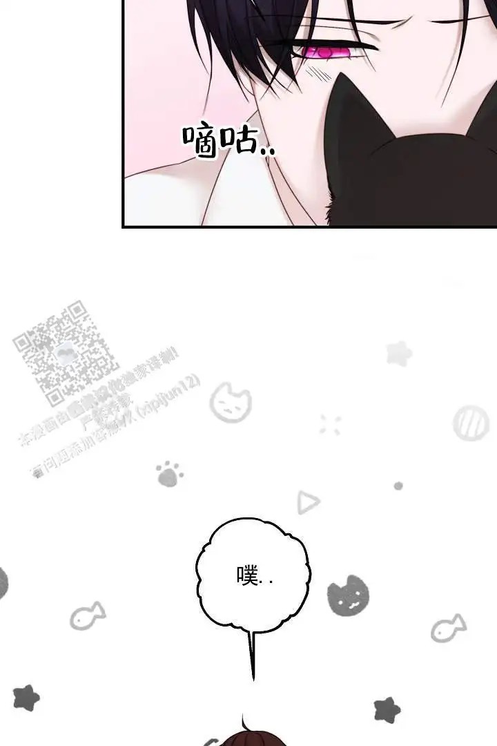 傀儡契约 - 监视 - 第17页