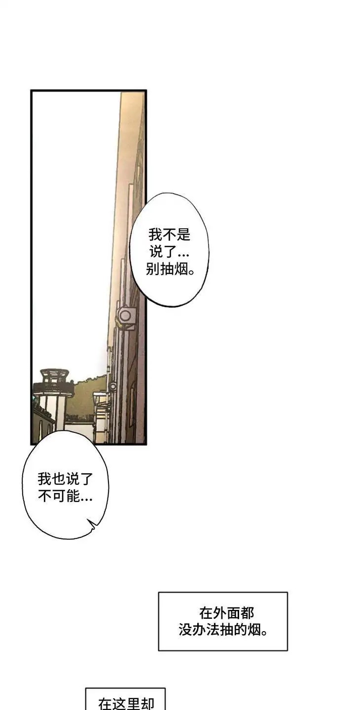 罪孽滔天 - 集中营 - 第12页
