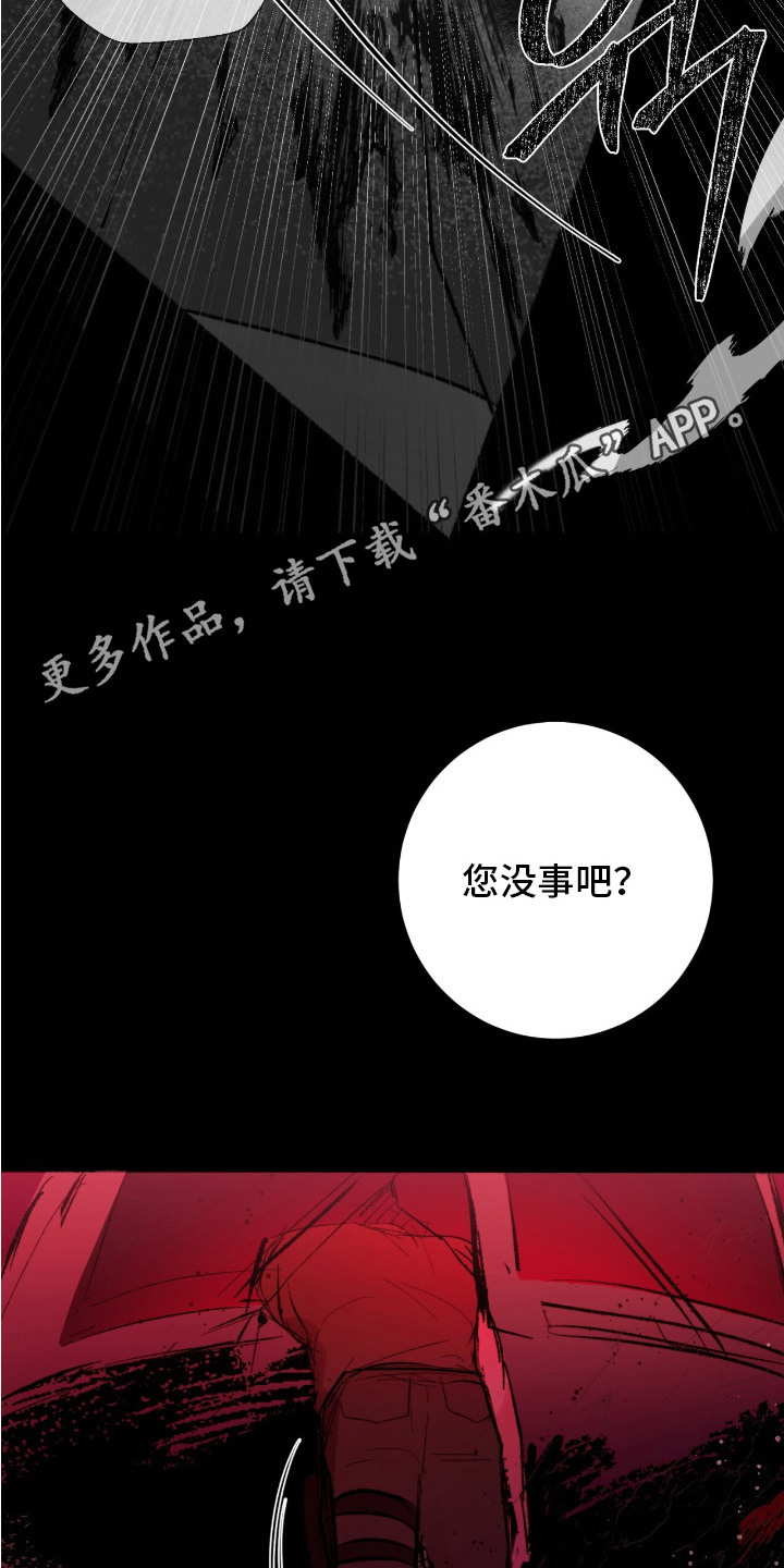 幸存者的曙光 - 黑鹰坠落 - 第12页