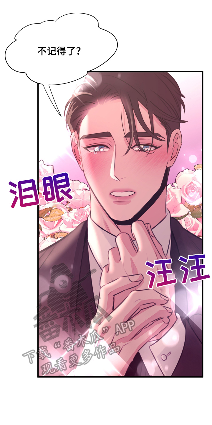 爱与和平 - 哪里见过 - 第7页