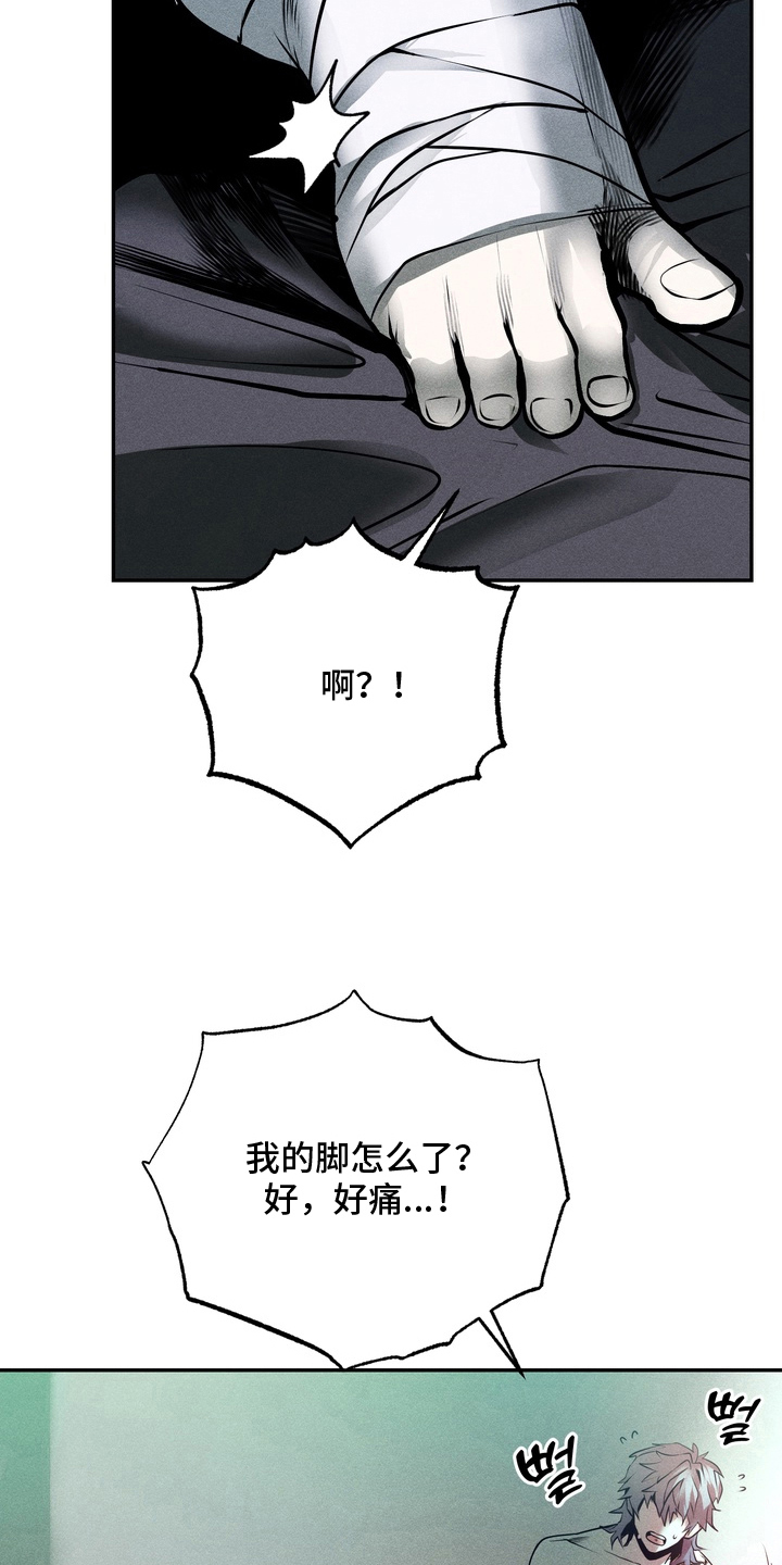 落饵之日 - 想不起来 - 第5页