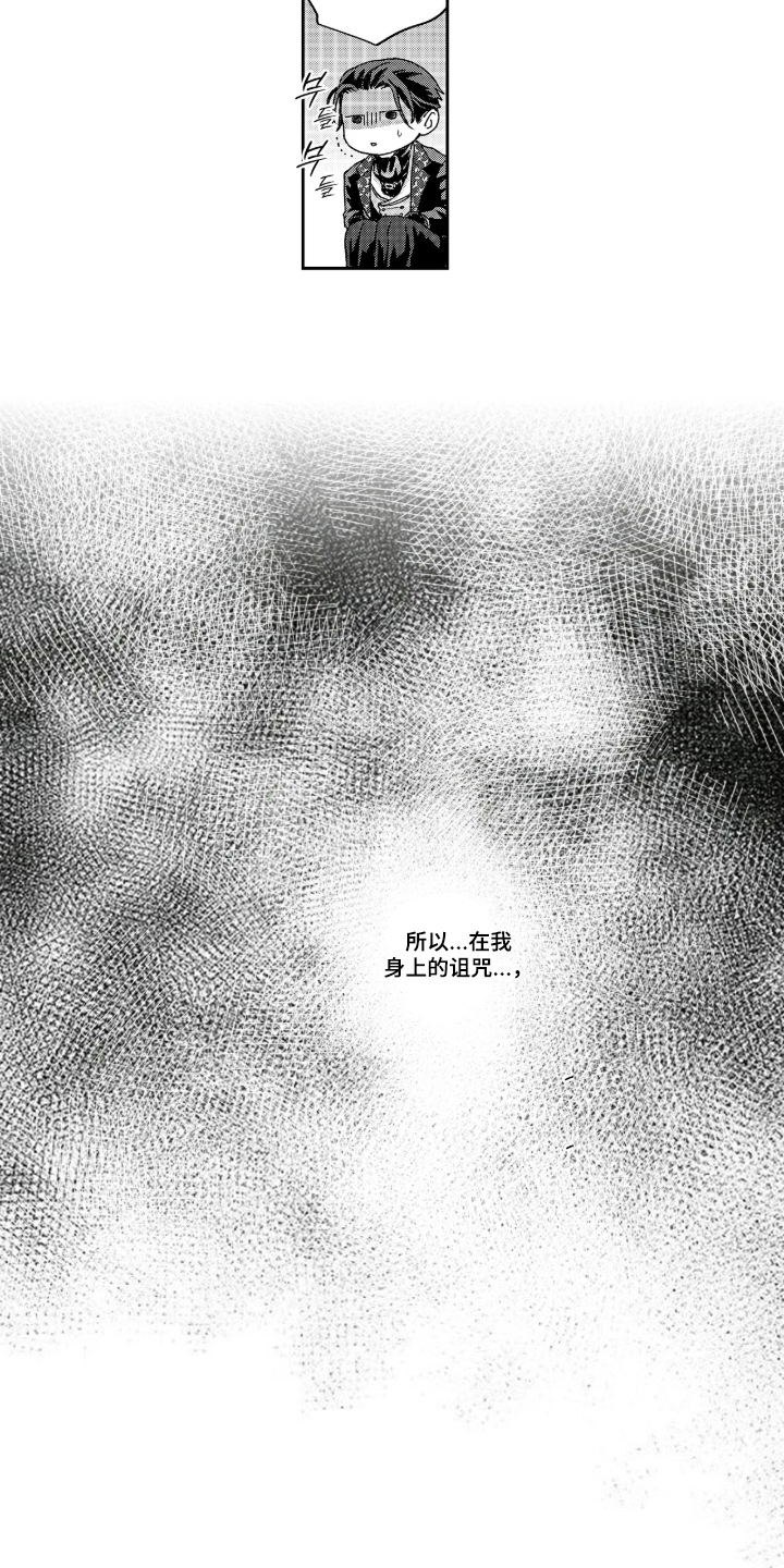 向圣者祈求夜晚 - 诅咒 - 第15页