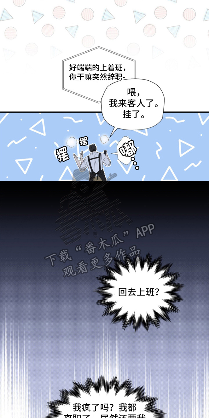 咖啡情缘 - 商讨 - 第21页