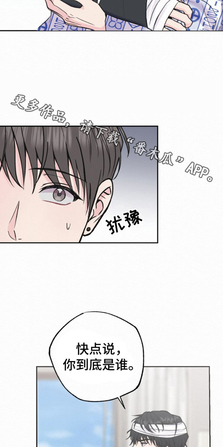 沉香记忆 - 说明情况 - 第6页