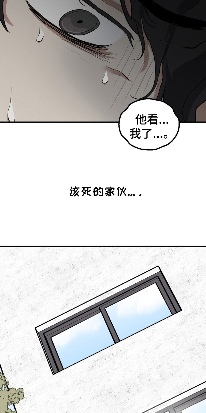 在那不安的房间 - 饲养的动物 - 第25页