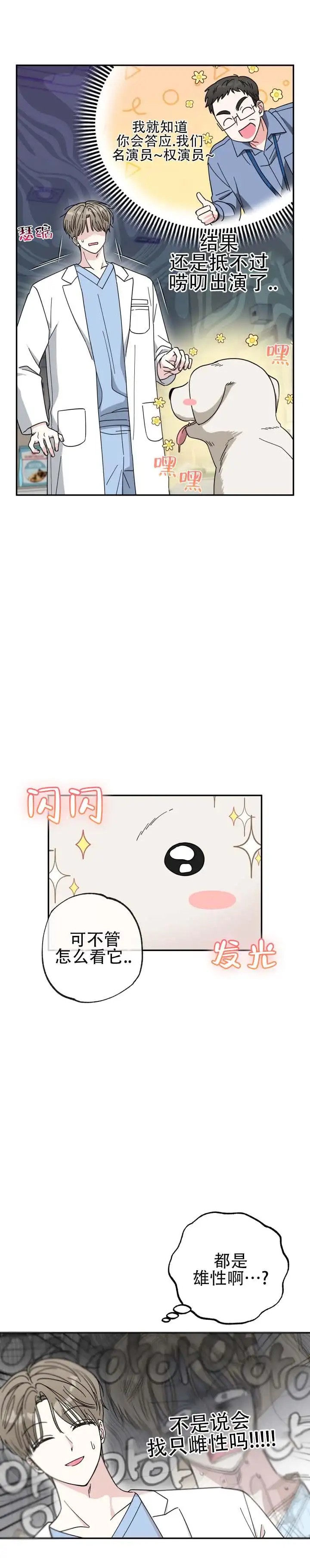 猫系男友 - 停下 - 第5页