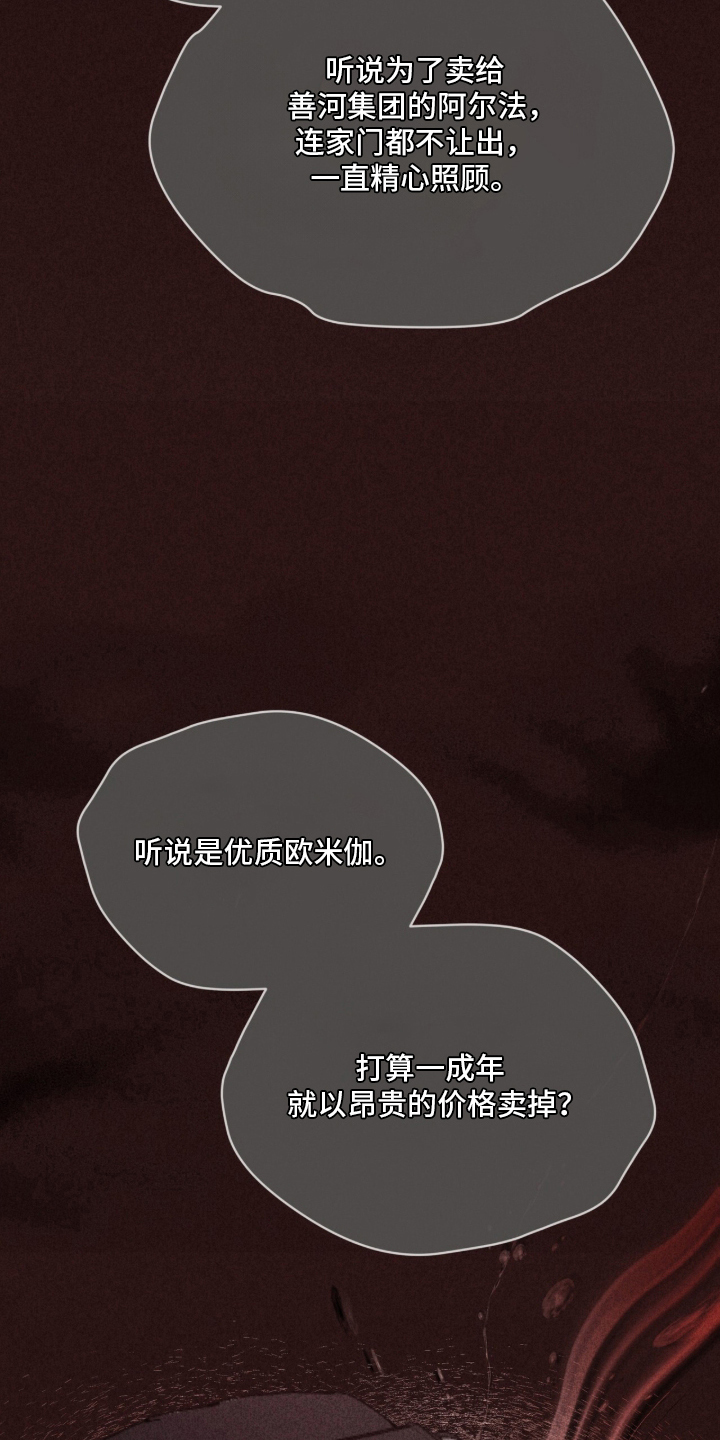 被驯养的商品 - 不用担心 - 第10页
