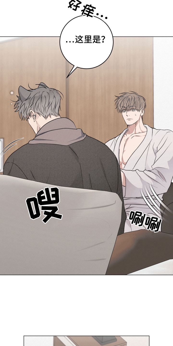 狼狗饲养日记 - 他的秘密 - 第17页