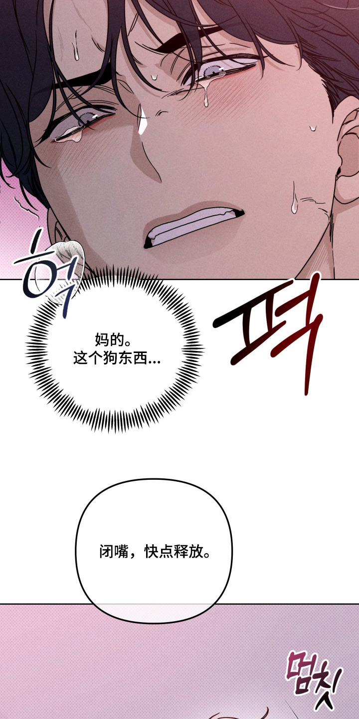 黑道规则 - 狗东西 - 第22页