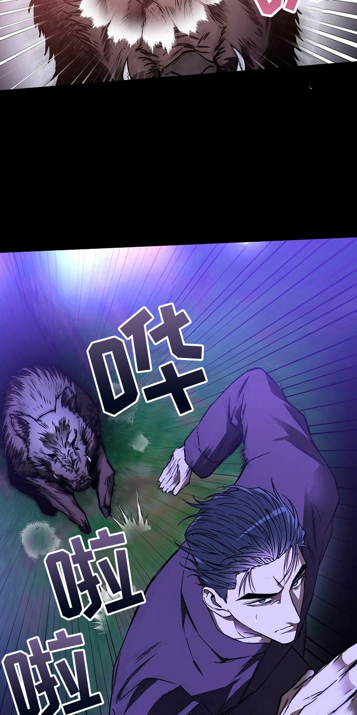 猛兽育儿书 - 猪突猛进 - 第21页
