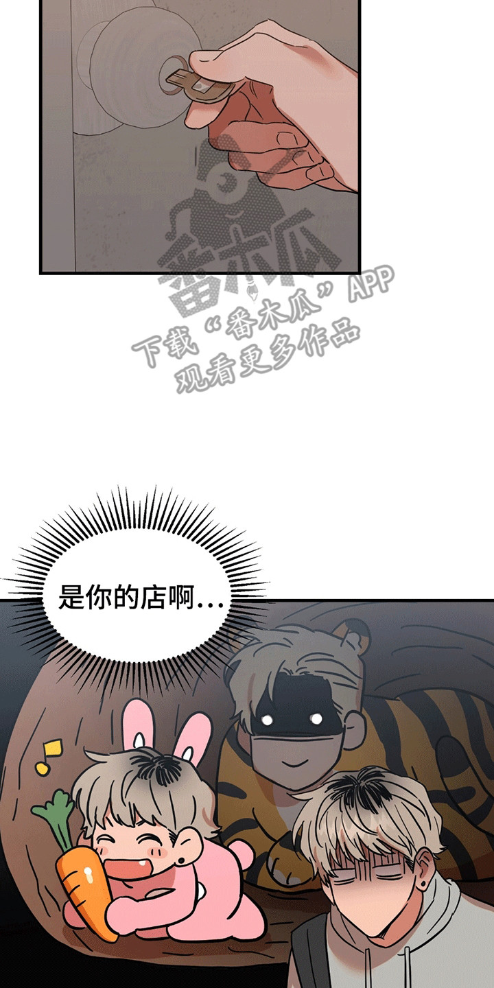 当场逮捕 - 条件 - 第17页