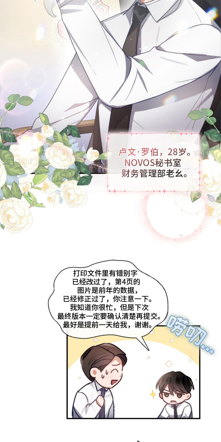总裁的私人秘书 - 全能秘书 - 第13页