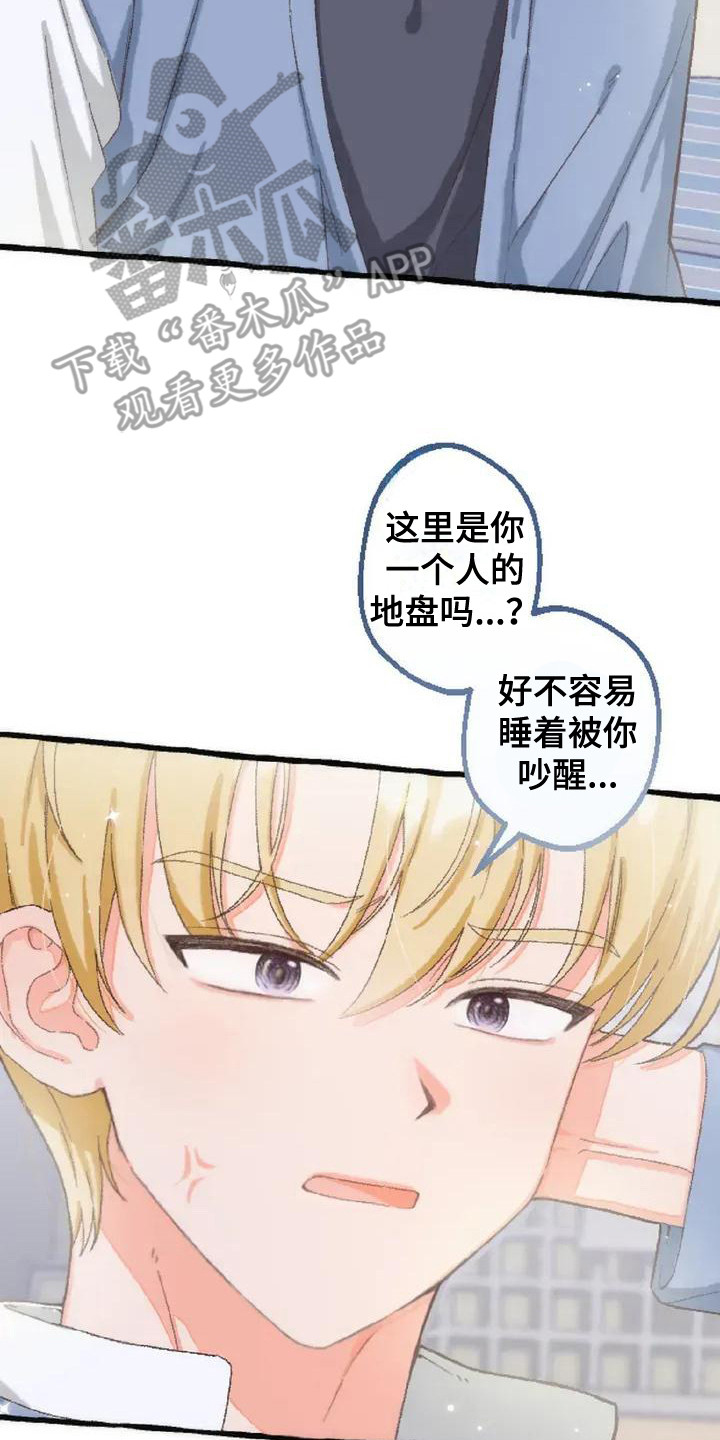后宫的世界 - 没有变化 - 第9页