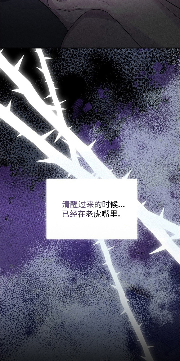 坠落婚途 - 社畜 - 第15页
