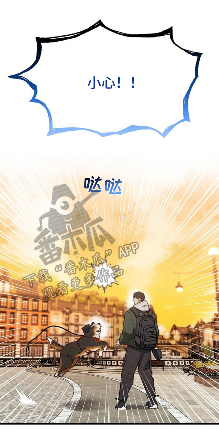 异国替身 - 相似 - 第9页