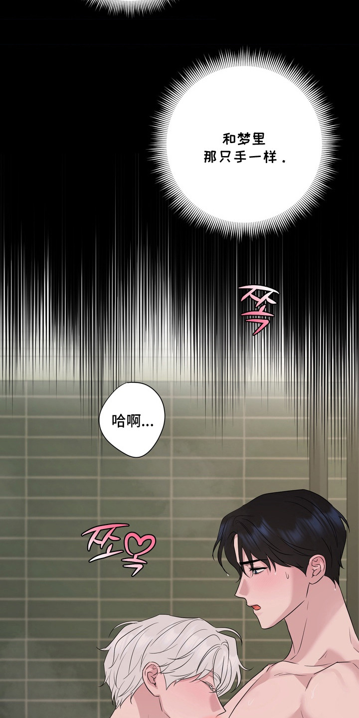 白狐日记 - 不是梦 - 第22页