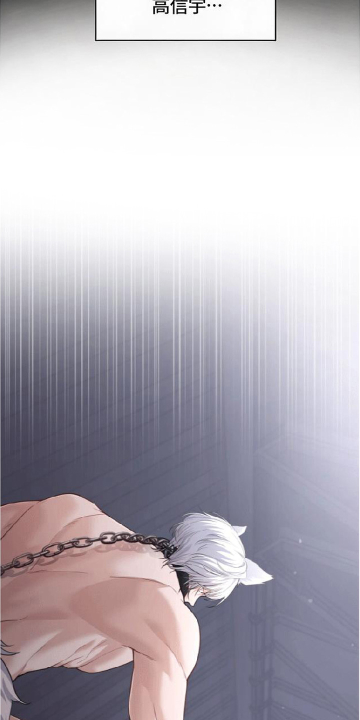 星光狼影 - 委屈 - 第12页