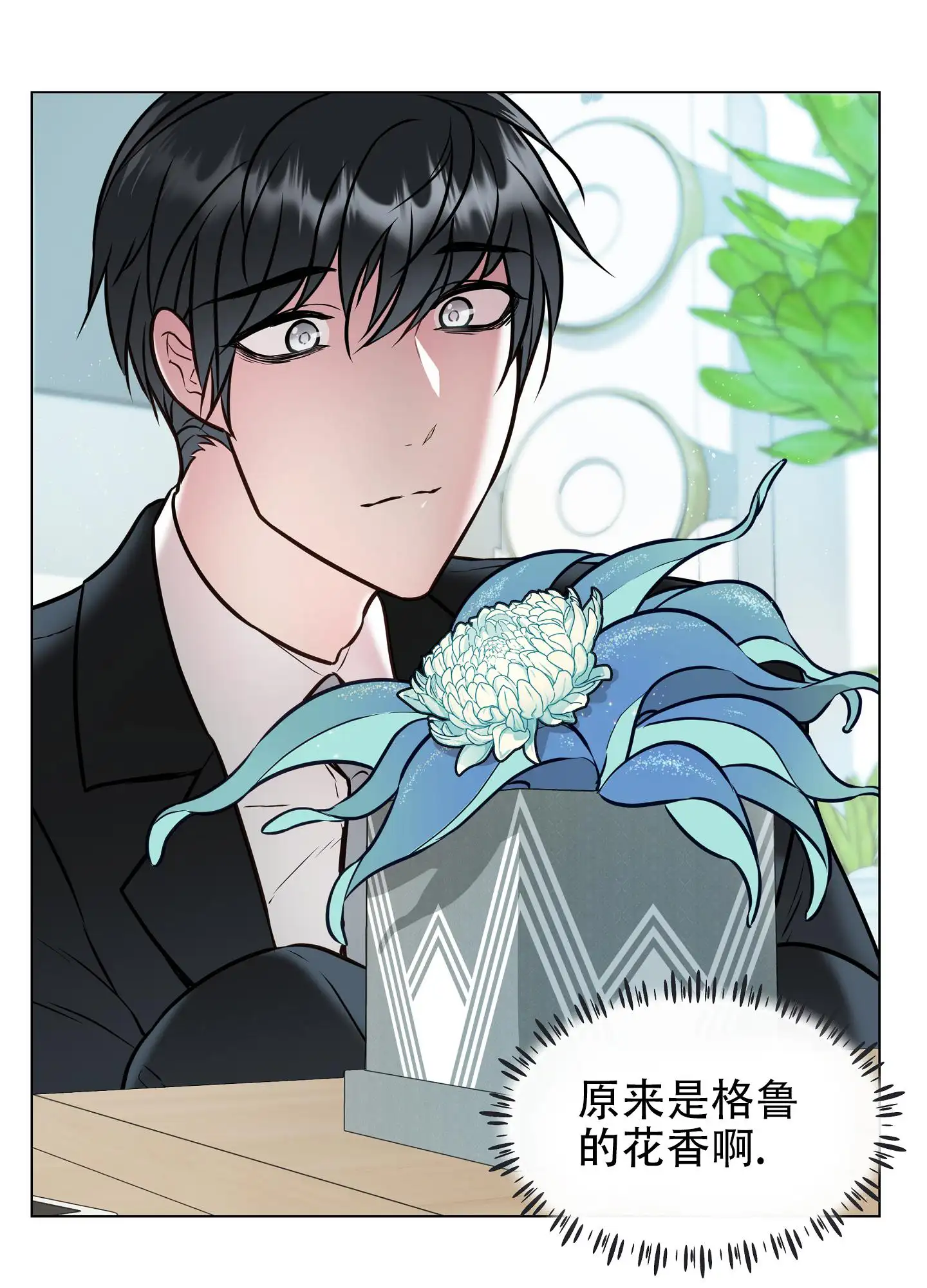 植物疗法 - 神奇植物 - 第21页